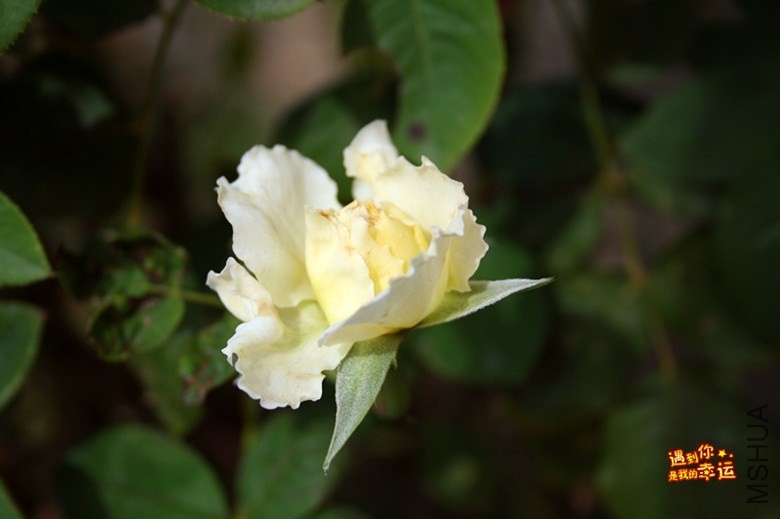 ��Ƭ 041_����.jpg