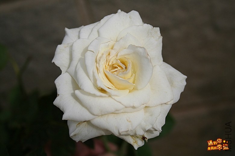 ��Ƭ 043_����.jpg