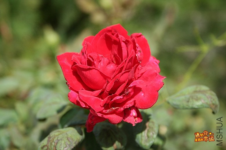 ��Ƭ 045_����.jpg