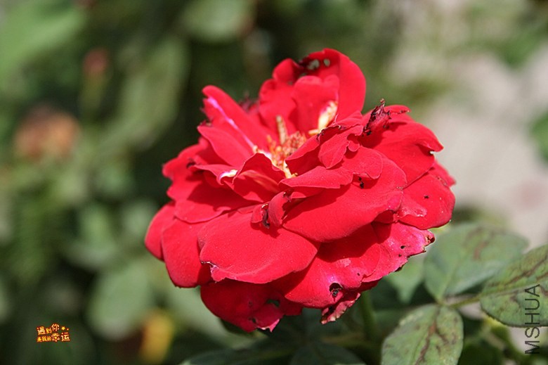 ��Ƭ 046_����.jpg