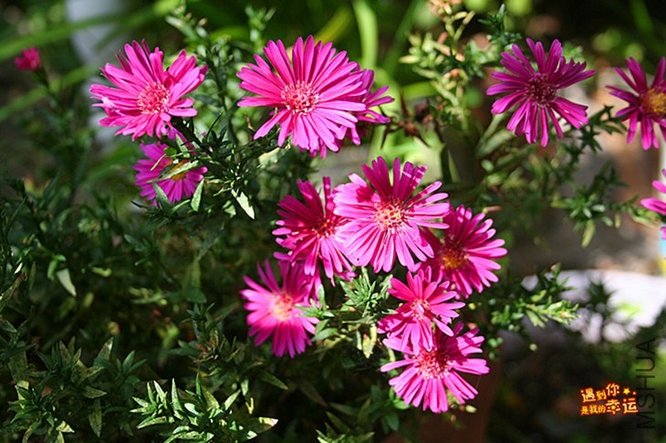 ��Ƭ 006_����.jpg