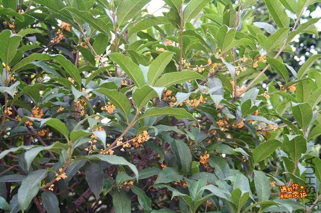 ��Ƭ 050_����.jpg