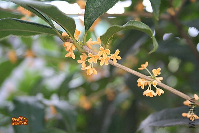 ��Ƭ 051_����.jpg