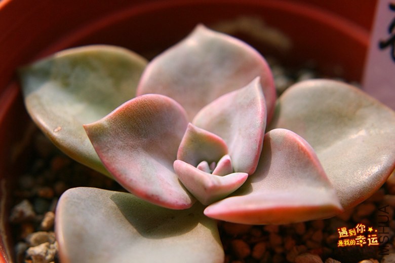 ��Ƭ 046_����.jpg