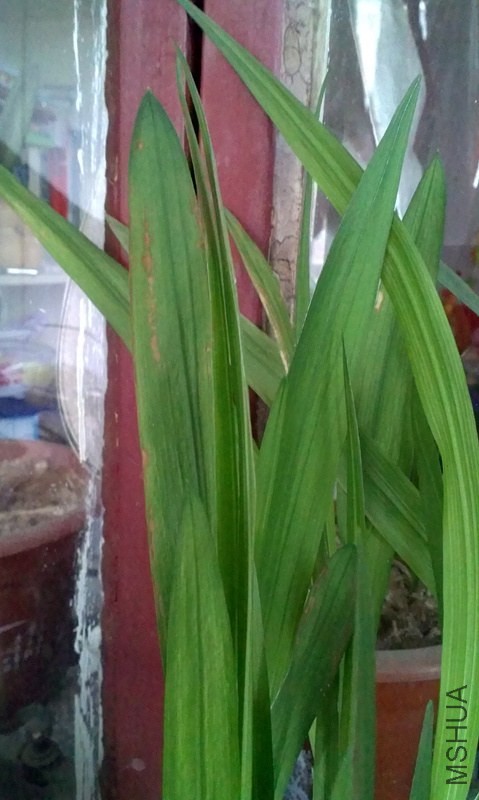 IMAG0440.jpg