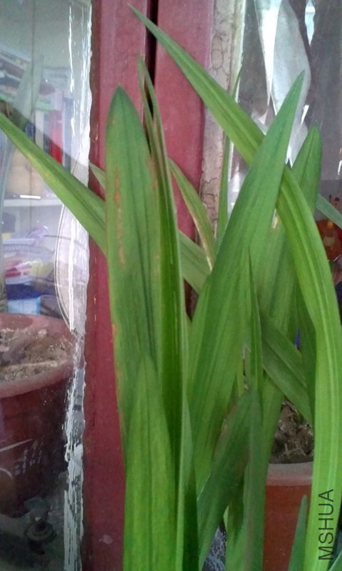 IMAG0441.jpg