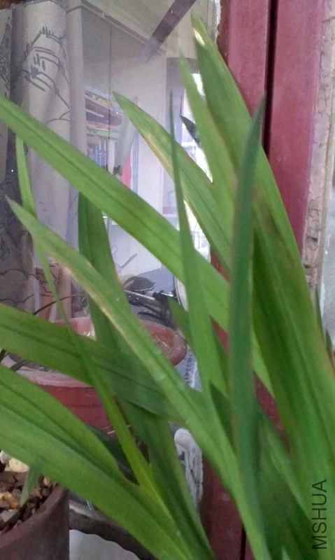 IMAG0443.jpg