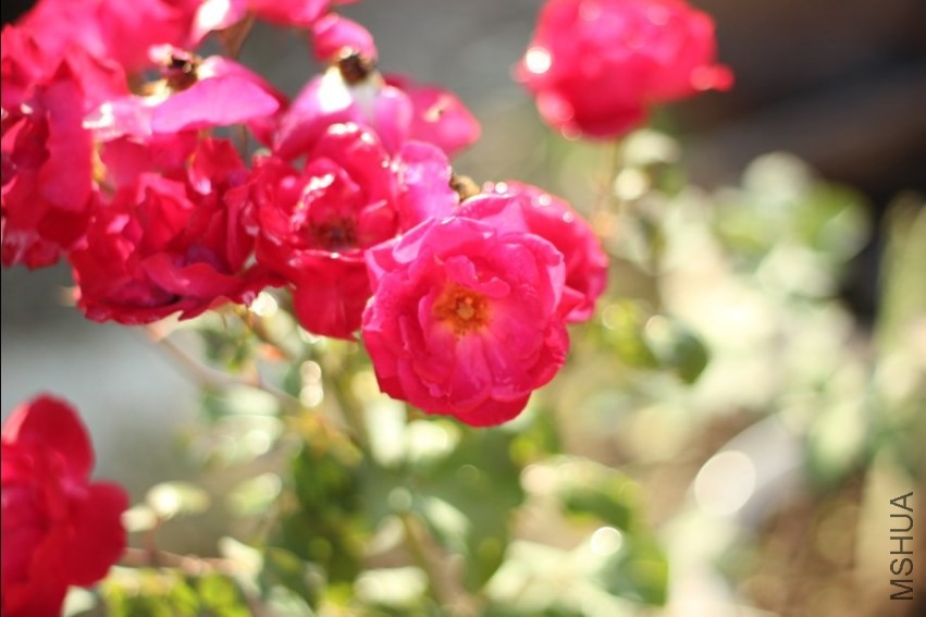 QQ��ͼ20131014194218.jpg