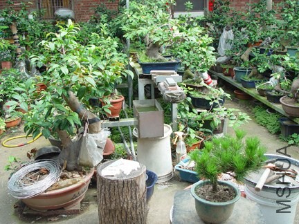 DSC05693-SSS.jpg