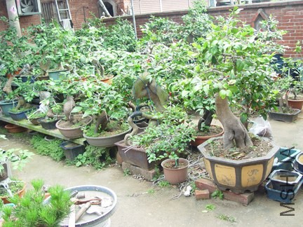 DSC05694-SSS.jpg