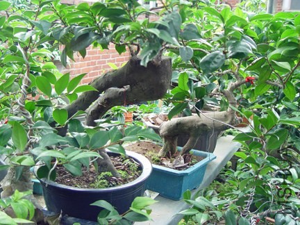 DSC05696-SSS.jpg
