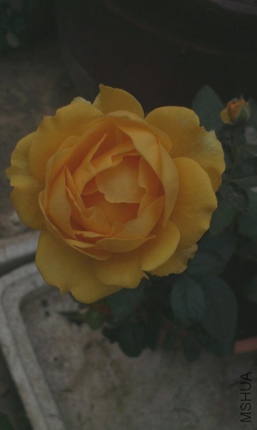 �����С��