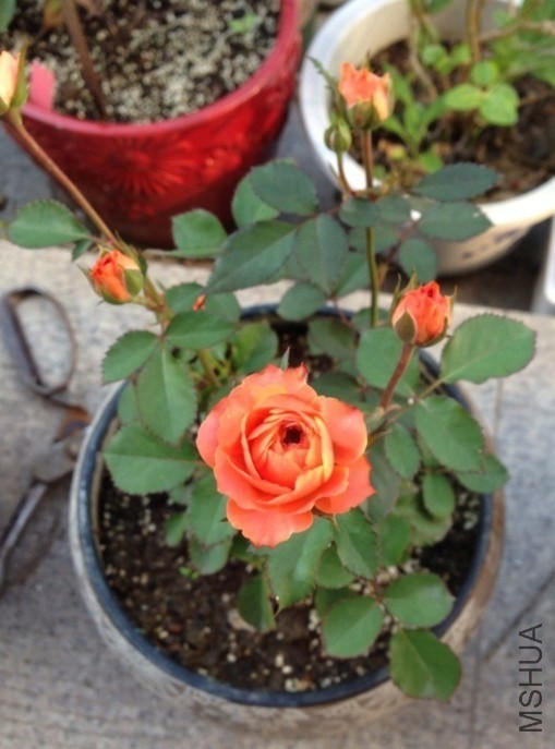 QQͼƬ20131015122522.jpg