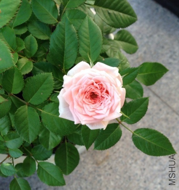 QQͼƬ20131015122058.jpg
