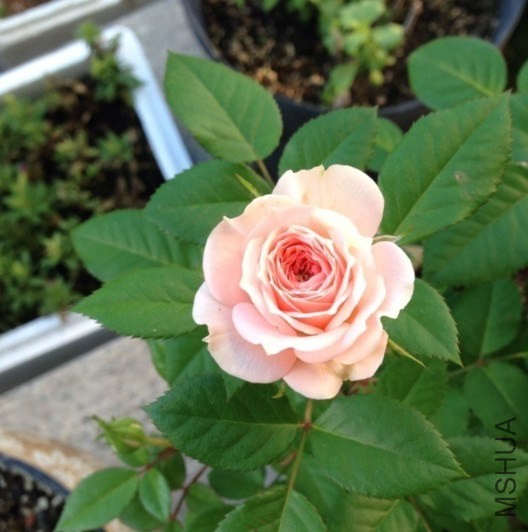 QQͼƬ20131015122550.jpg