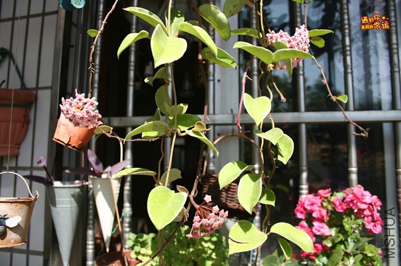 ��Ƭ 158_����.jpg