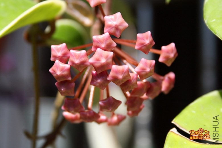 ��Ƭ 164_����.jpg