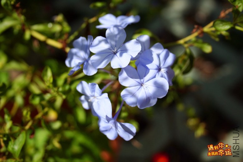 ��Ƭ 149_����.jpg