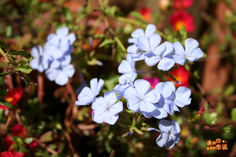 ��Ƭ 151_����.jpg