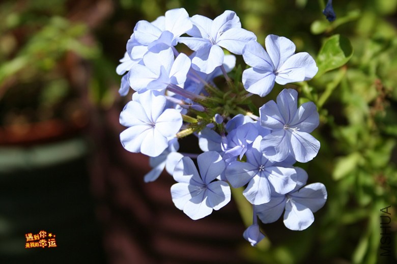 ��Ƭ 152_����.jpg