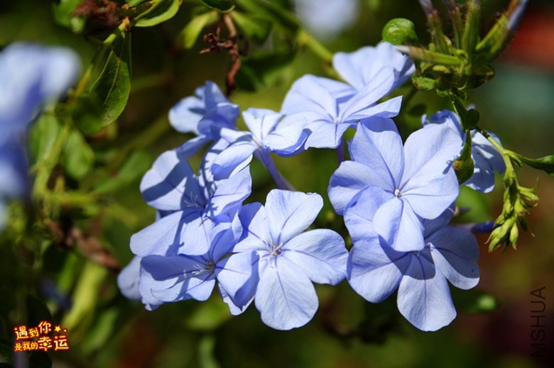 ��Ƭ 153_����.jpg