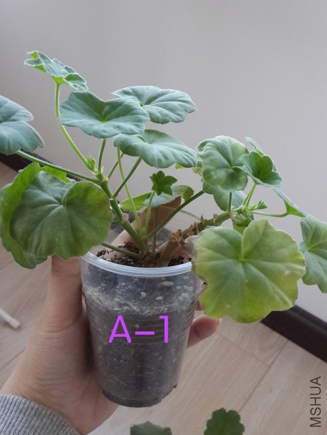 20131015_150106_����.jpg