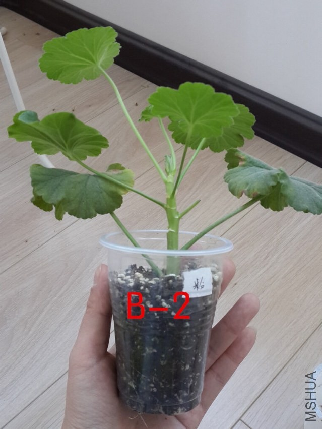 20131015_150214_����.jpg