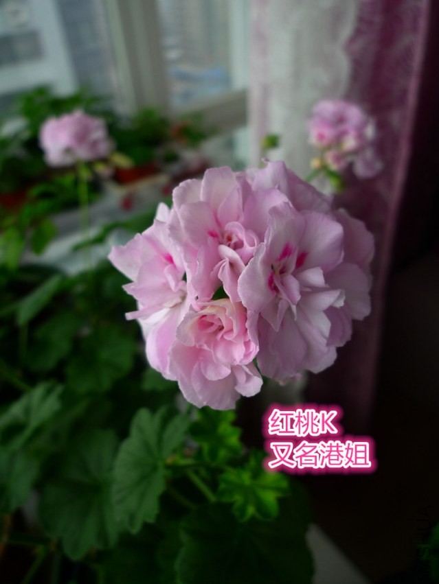 p1070327_����.jpg