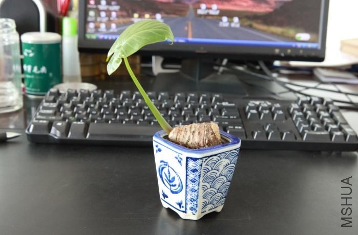 �Ű칫���ϵ�