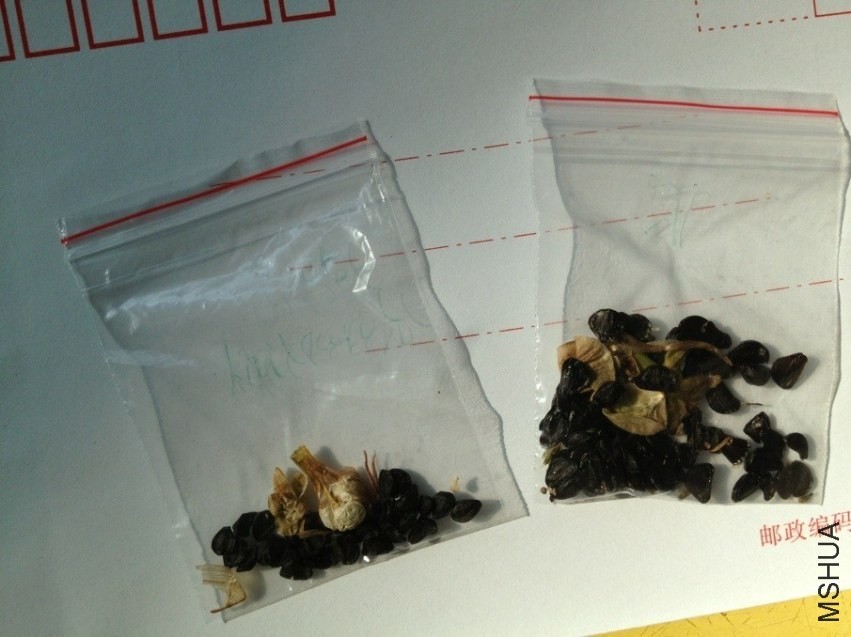 QQ20131005092647.jpg