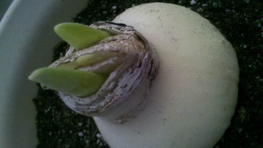 ������С 2013-10-16_08-14-12_472.jpg