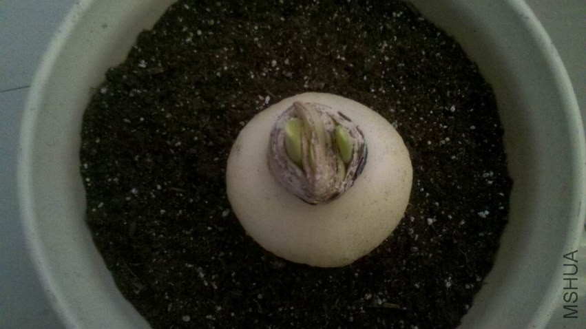 ������С 2013-10-16_08-14-02_28.jpg