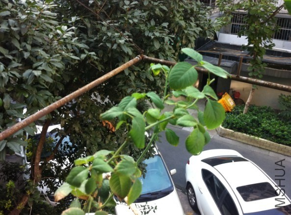 QQ��ͼ20131016123828.jpg