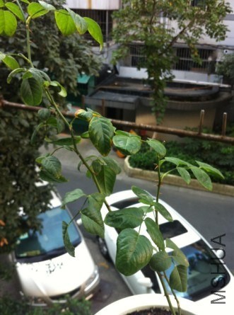 QQ��ͼ20131016123848.jpg