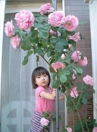 QQͼƬ20131016151558.jpg