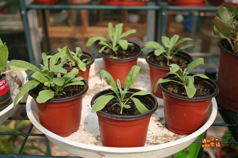 ��Ƭ 075_����.jpg