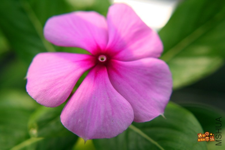 ��Ƭ 109_����.jpg