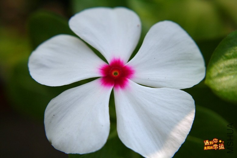 ��Ƭ 110_����.jpg