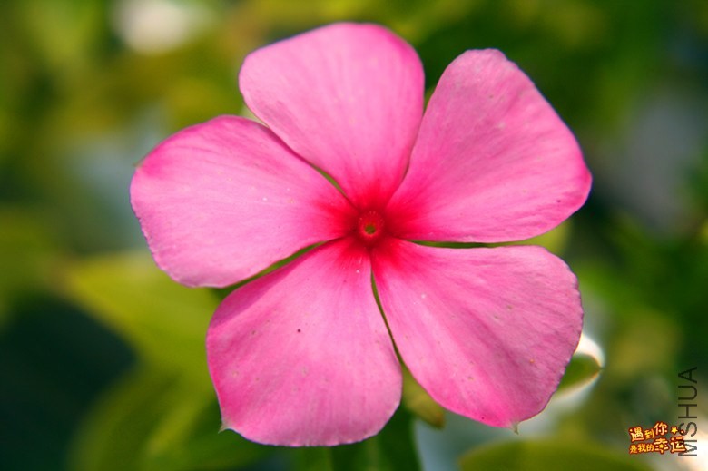 ��Ƭ 111_����.jpg