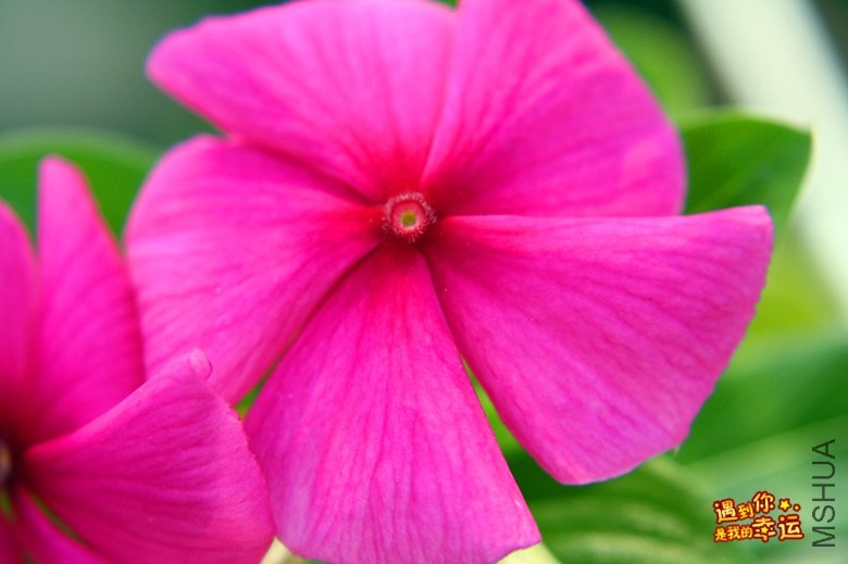 ��Ƭ 112_����.jpg