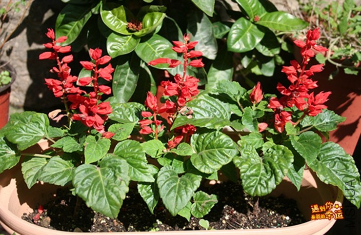 ��Ƭ 143_����.jpg