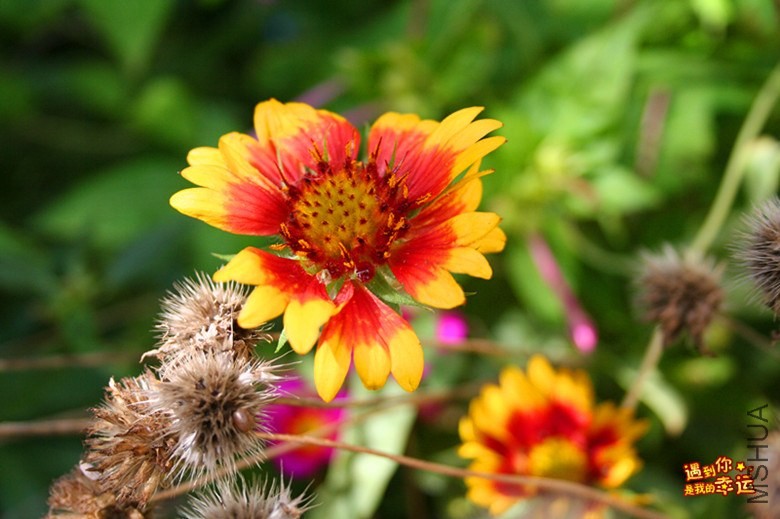 ��Ƭ 154_����.jpg