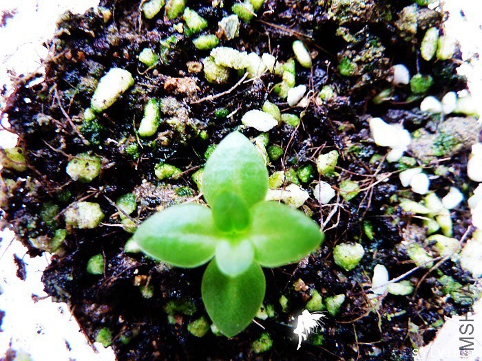 ������5���µ���