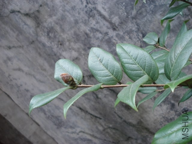 DSC00497.JPG