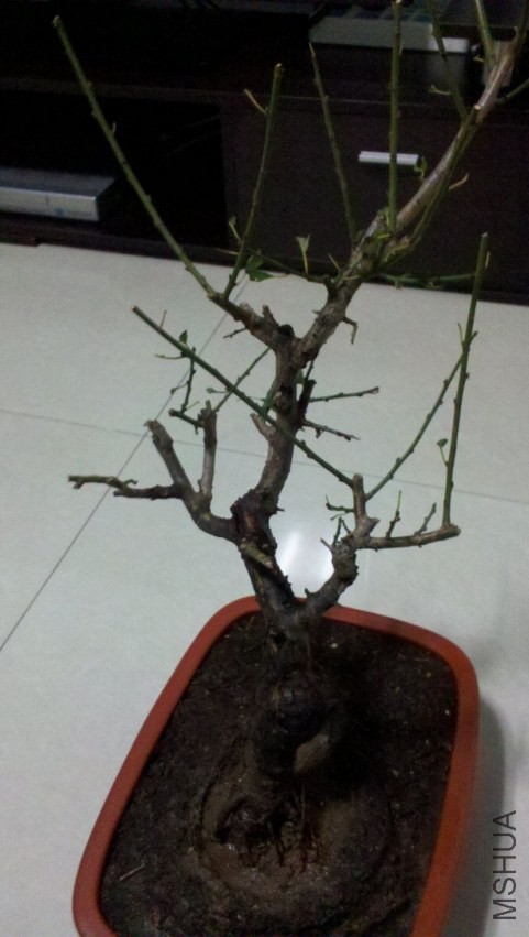 2013-10-16_19-22-15_533.jpg