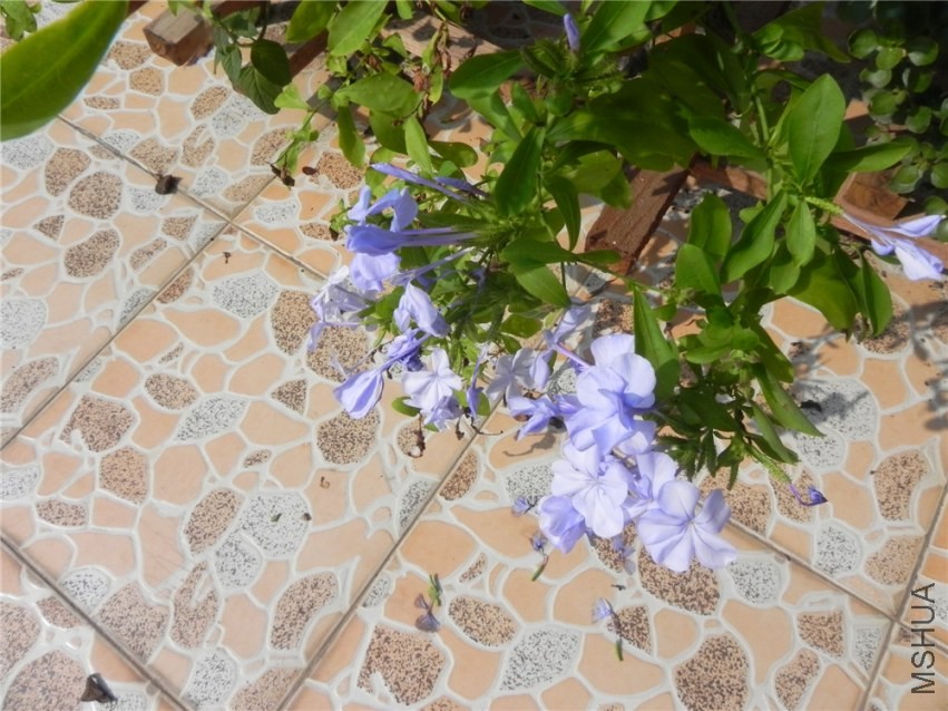 DSCN3337.jpg