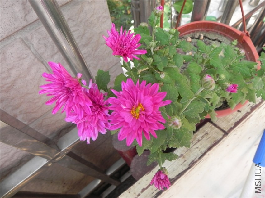 DSCN3364.jpg