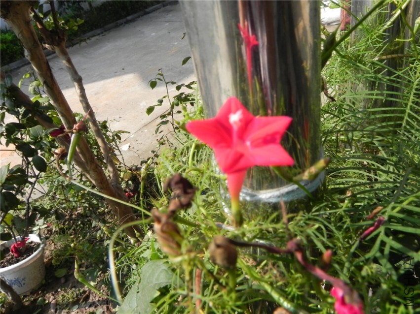 DSCN3369.jpg