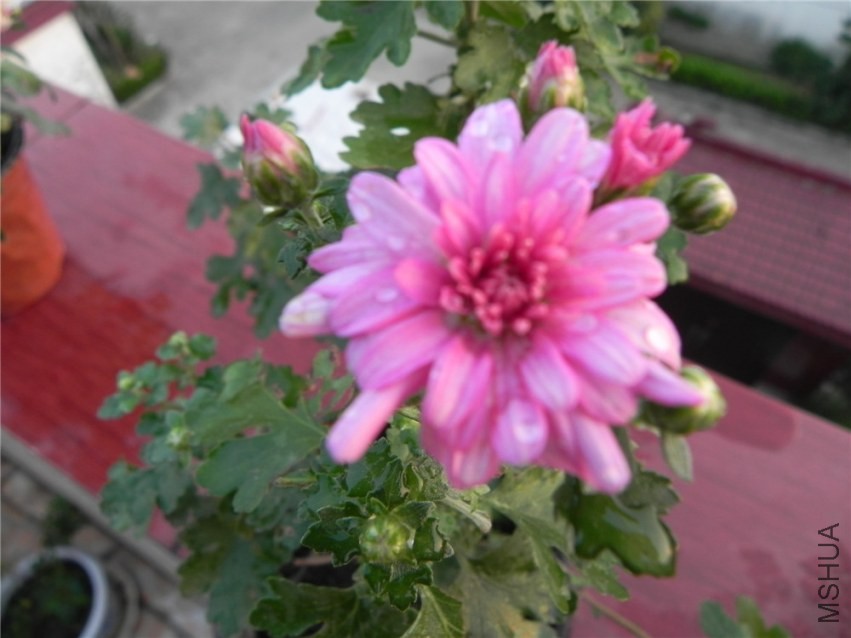 DSCN3373.jpg