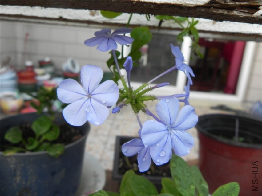 DSCN3376.jpg